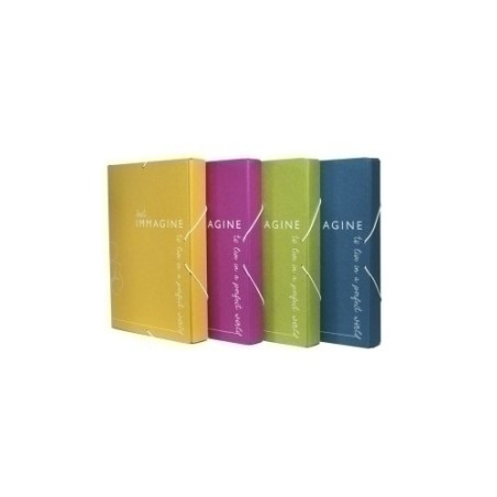 CARP.PROY.CARCH.IMM. F MT.GOM. 4 cm SUR - Pack de 4 unidades
