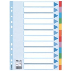 Multi-coloured Cardboard Dividers Separador en blanco con pestaa Caja de cartn