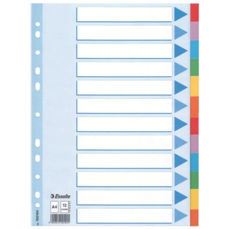Multi-coloured Cardboard Dividers Separador en blanco con pestaa Caja de cartn
