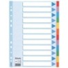 Multi-coloured Cardboard Dividers Separador en blanco con pestaa Caja de cartn