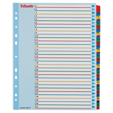 100210 lengeta de ndice Separador numrico con pestaa Caja de cartn Multicolor