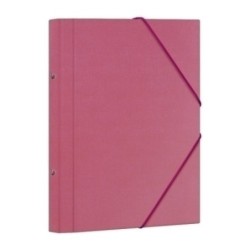 CARP.CLASIF.DOHE F 12 DP.ROSA