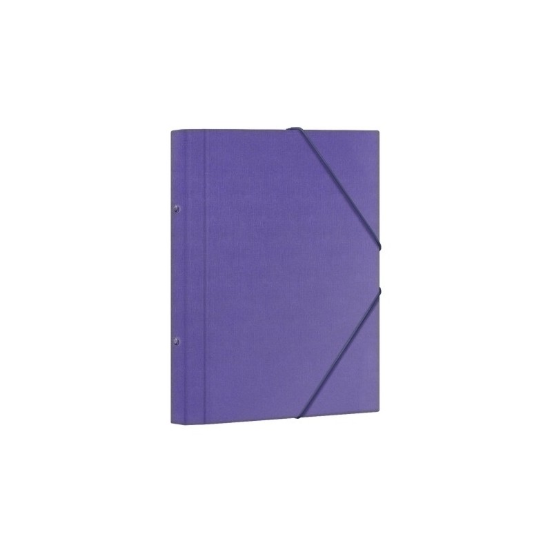 CARP.CLASIF.DOHE F 12 DP.MORADO