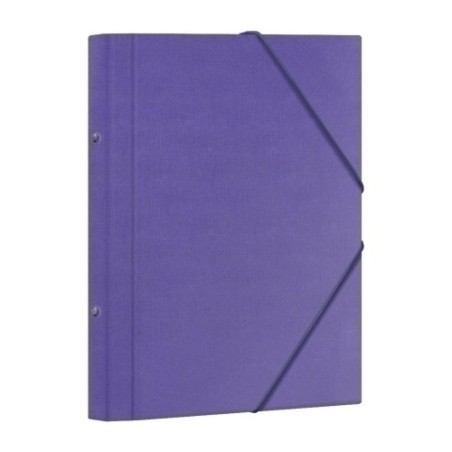 CARP.CLASIF.DOHE F 12 DP.MORADO