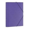 CARP.CLASIF.DOHE F 12 DP.MORADO