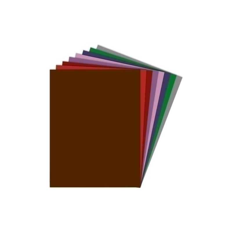 CARTULINA 50x65 FIXO (25) CHOCOLATE - Pack de 25 unidades