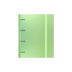 12257421 carpeta de cartn Verde
