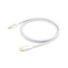 128356 Cable USB 3.2 Gen 2 C a C  M/M  1 0m  PD 100W   4K/60Hz  10Gbps  Blanco