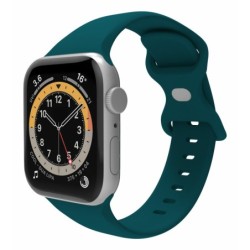 WBANDSIL44GN pieza y accesorio para reloj Correa de reloj
