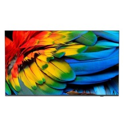 75HFL6214U 190 5 cm (75") 4K Ultra HD Smart TV Wifi Antracita 400 cd / m
