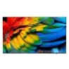 75HFL6214U 190 5 cm (75") 4K Ultra HD Smart TV Wifi Antracita 400 cd / m