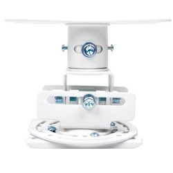 OCM818 montaje para projector Techo Blanco