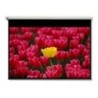 Pantalla 16:9 2656 x 1494mm pantalla de proyeccin 3 05 m (120")