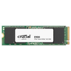 E100 480 GB M.2 PCI Express 4.0 NVMe
