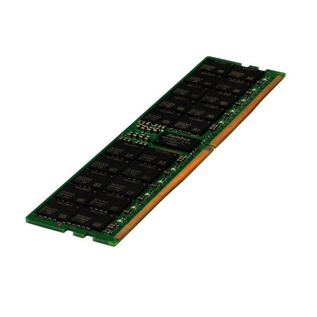 32GB (1x32GB) Dual Rank x8 DDR5-6400 CAS-52-52-52 EC8 Registered Smart Memory Kit