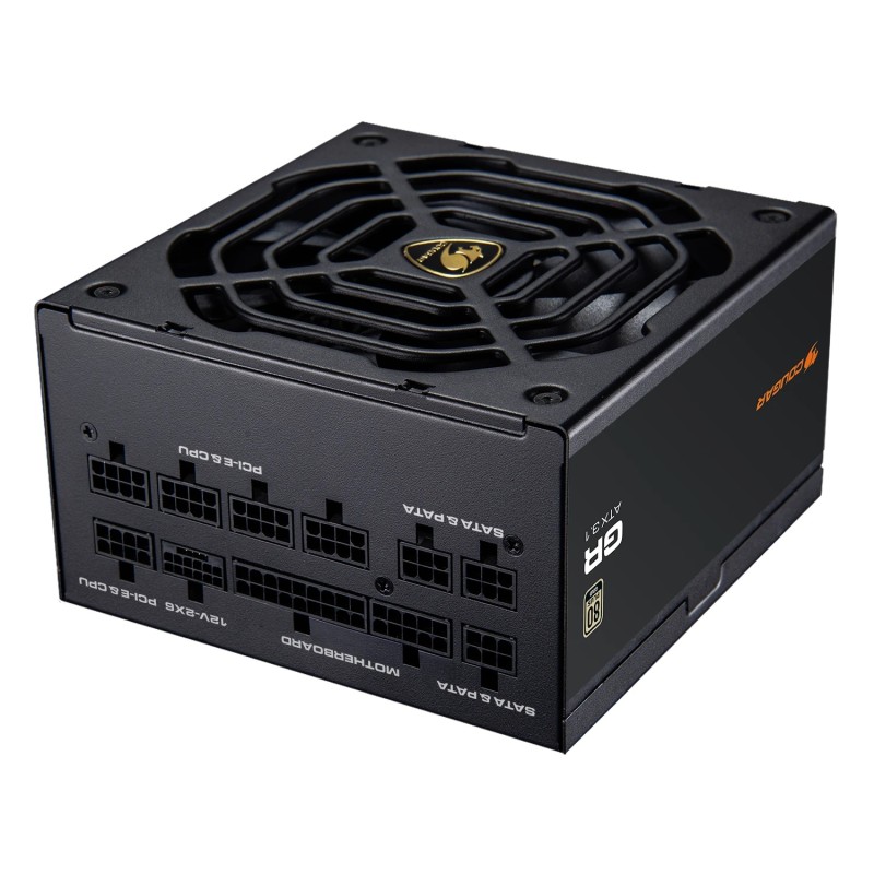 CGRGDN-1000 unidad de fuente de alimentacin 1000 W 20+4 pin ATX ATX Negro