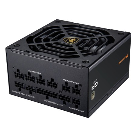 CGRGDN-1000 unidad de fuente de alimentacin 1000 W 20+4 pin ATX ATX Negro