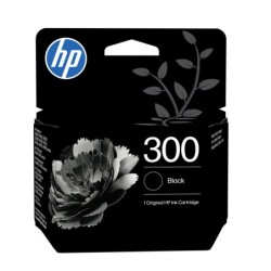Cartucho de tinta original 300 negro