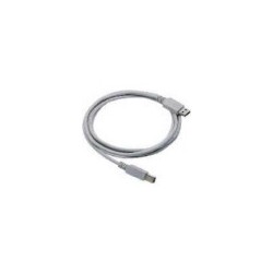 Straight Cable - Type A USB Cable USB