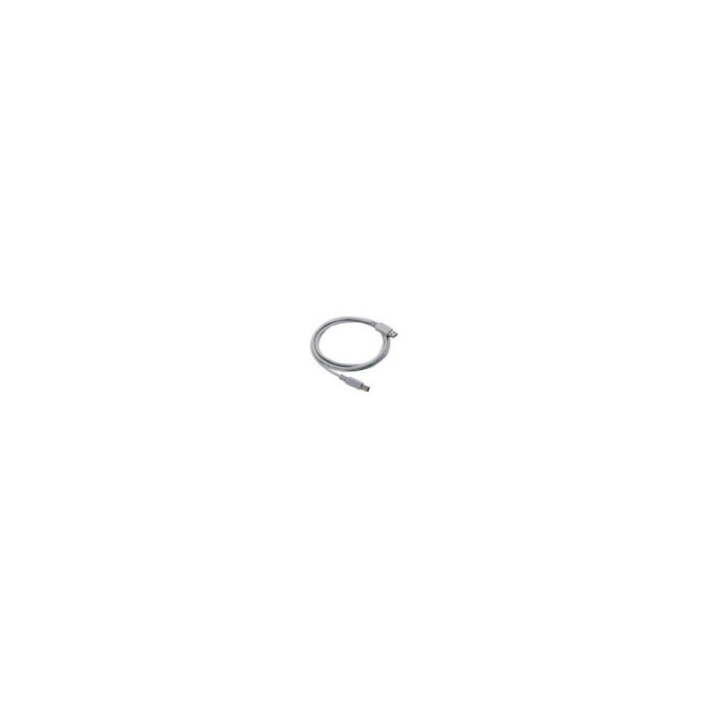 Straight Cable - Type A USB Cable USB