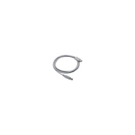 Straight Cable - Type A USB Cable USB