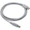 Straight Cable - Type A USB Cable USB