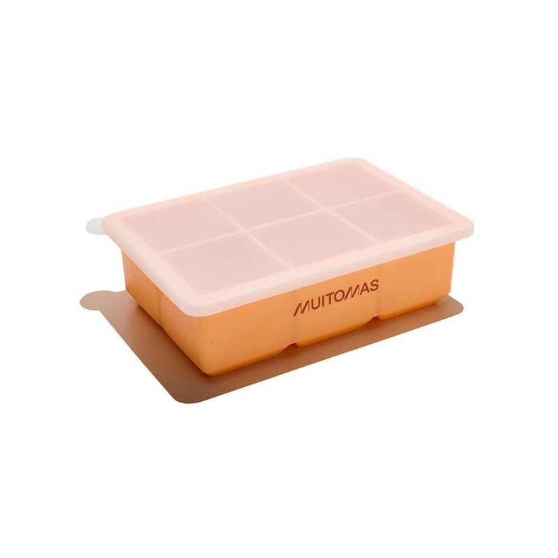 ICECUBESILPF bandeja cubito de hielo 6 pieza(s) Molde