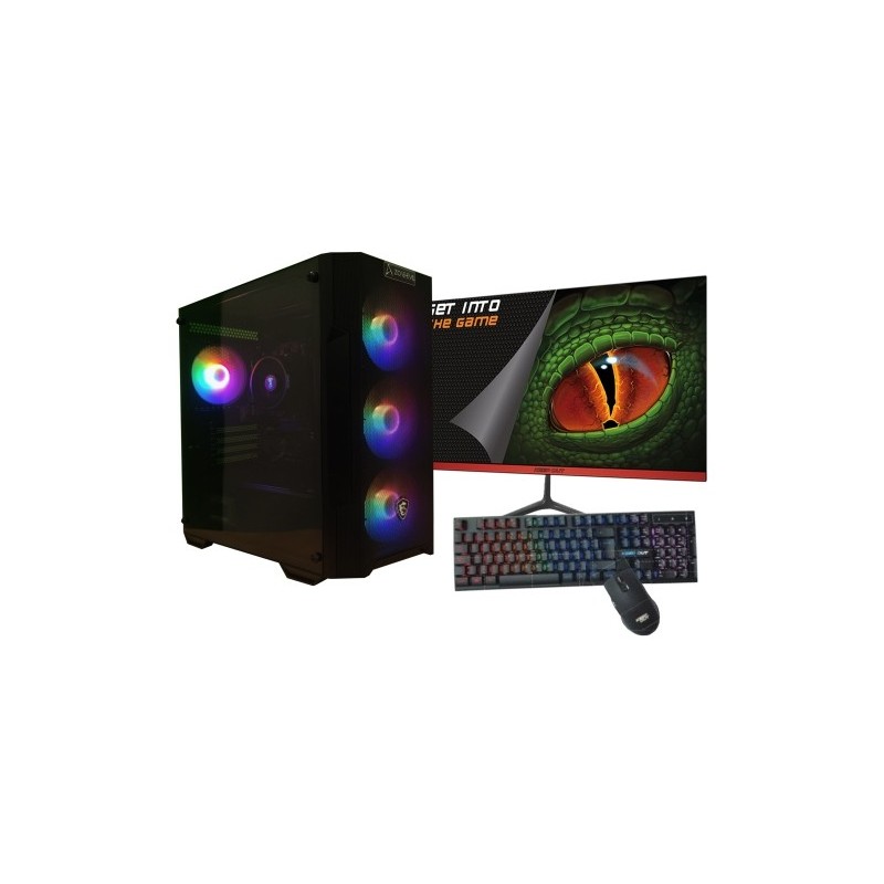 AMD Ryzen 5 4650G/16GB/1 Tb NVMe/Monitor 21.5 teclado y ratn Windows 11 Ordenador GamingPC