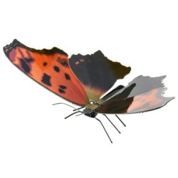 Metal Earth Eastern Comma